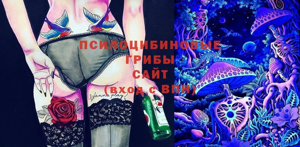 хмурый Балахна