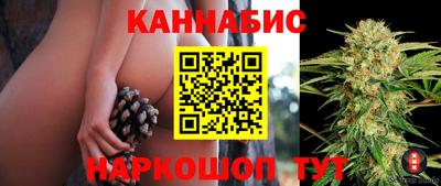 apvp Свободный