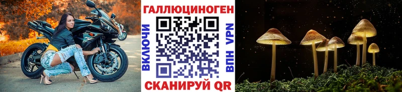 Псилоцибиновые грибы Magic Shrooms  купить наркотики цена  Черняховск 
