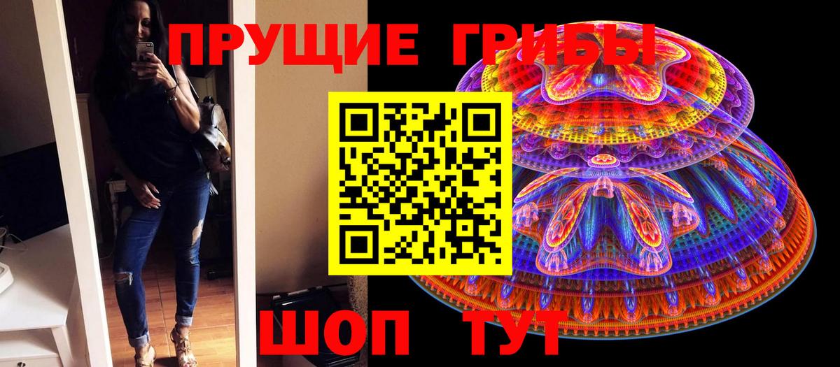 Псилоцибиновые грибы Magic Shrooms Черняховск